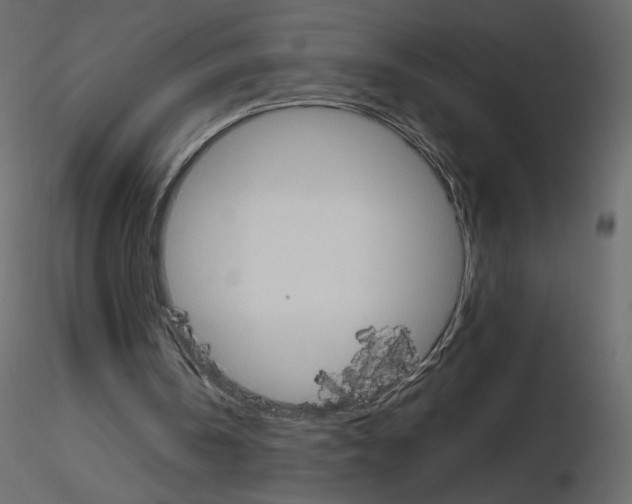 X0000115690146200912241509