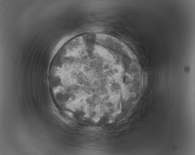 X0000115690147200912241509