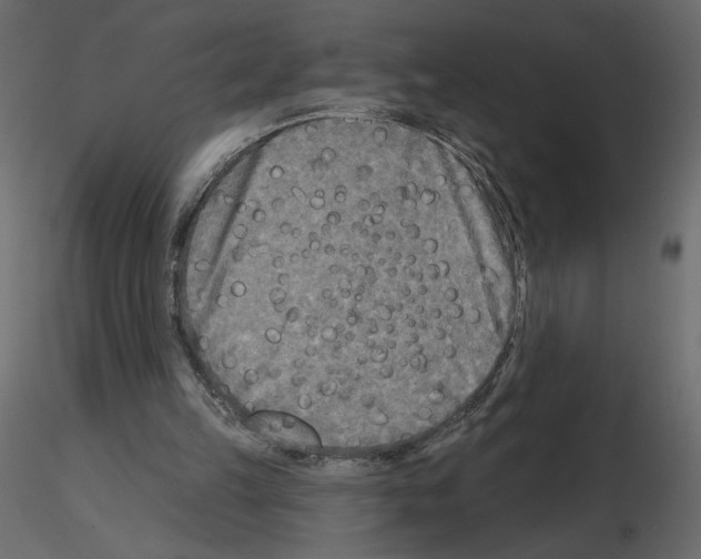 X0000115690149200912241509