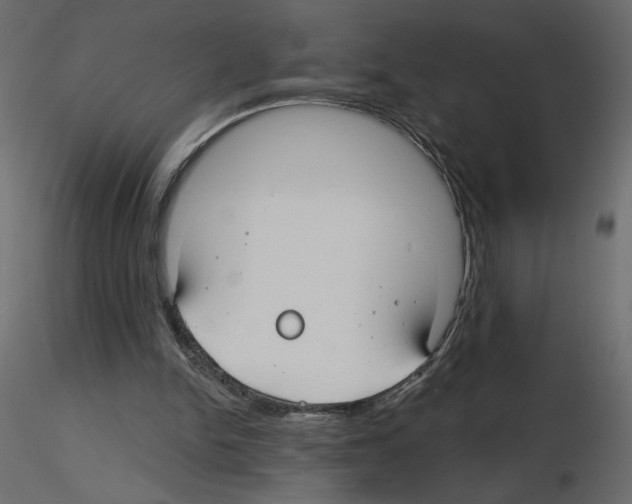 X0000115690150200912241509