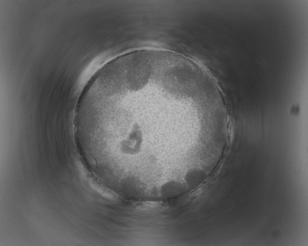 X0000115690151200912241509