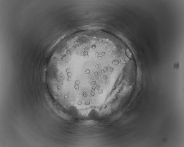 X0000115690153200912241509