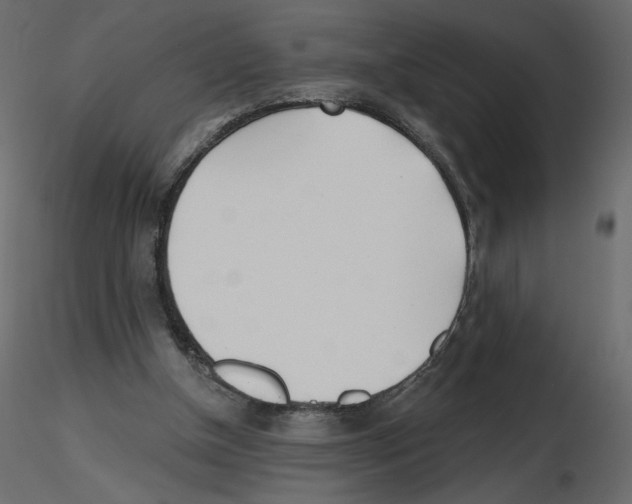 X0000115690154200912241509