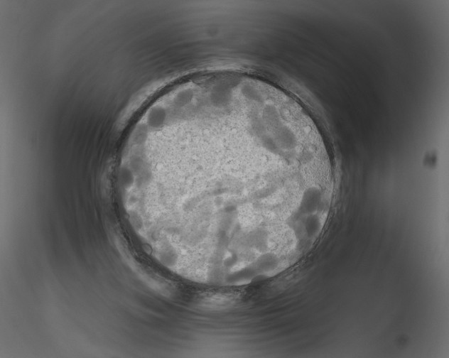 X0000115690155200912241509