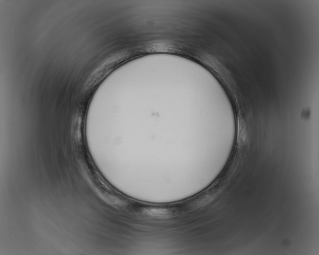 X0000115690157200912241509