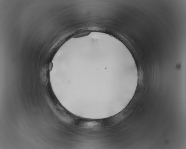 X0000115690158200912241509