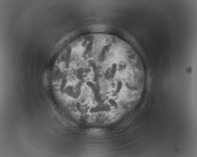 X0000115690161200912241509