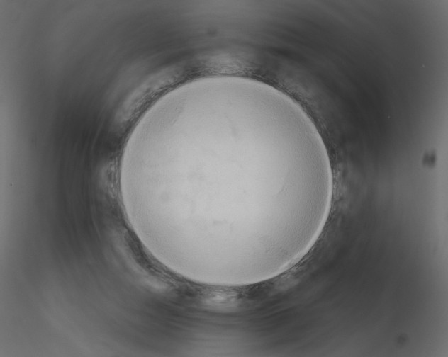 X0000115690162200912241509