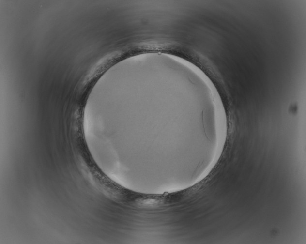 X0000115690163200912241509