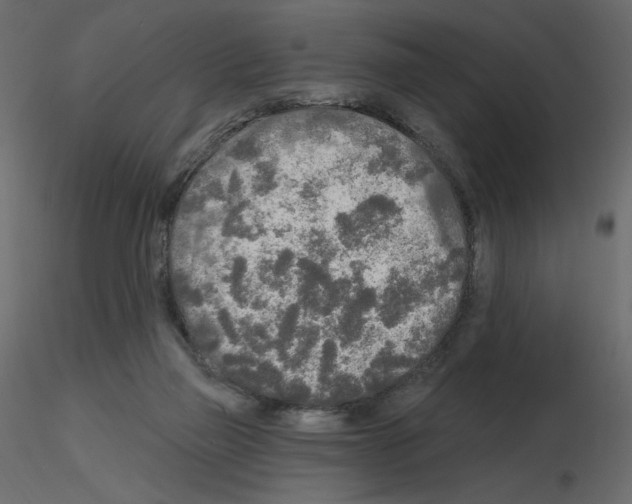 X0000115690165200912241509