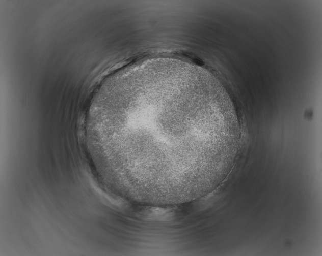 X0000115690166200912241509