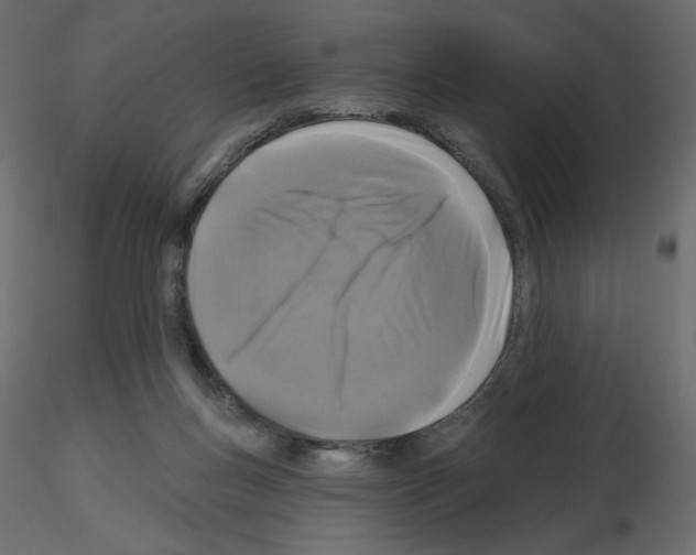 X0000115690167200912241509