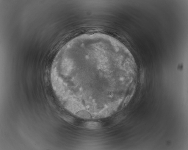 X0000115690169200912241509