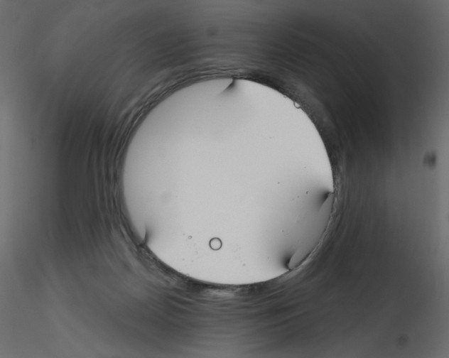 X0000115690170200912241509