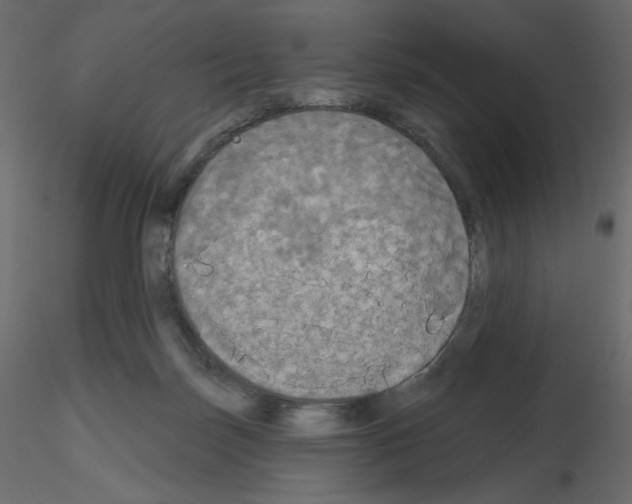 X0000115690171200912241509