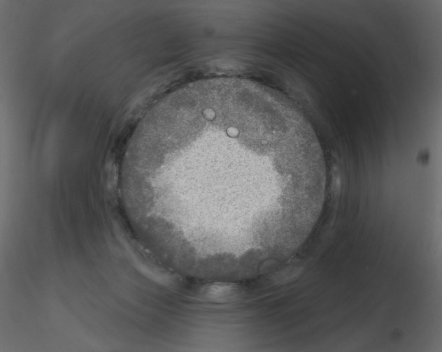 X0000115690173200912241509
