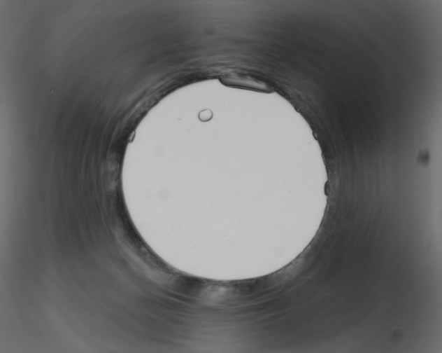 X0000115690174200912241509