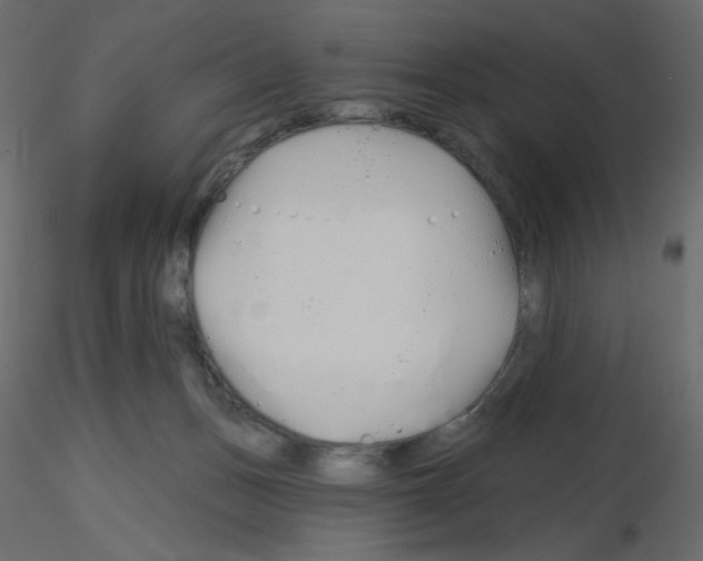 X0000115690175200912241509