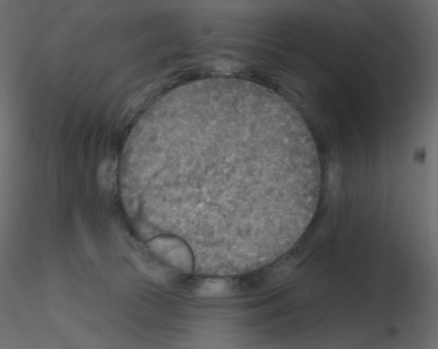 X0000115690177200912241509