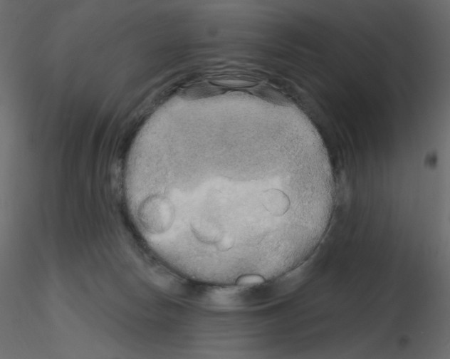 X0000115690178200912241509