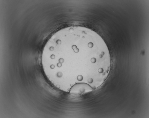 X0000115690179200912241509