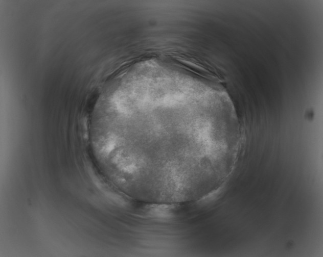 X0000115690182200912241509