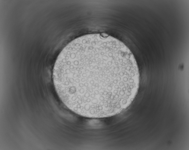 X0000115690183200912241509