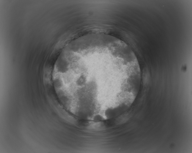 X0000115690185200912241509