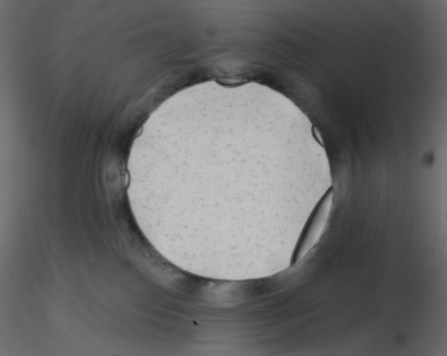 X0000115690186200912241509