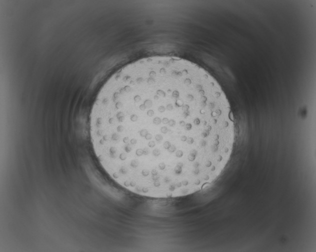X0000115690187200912241509