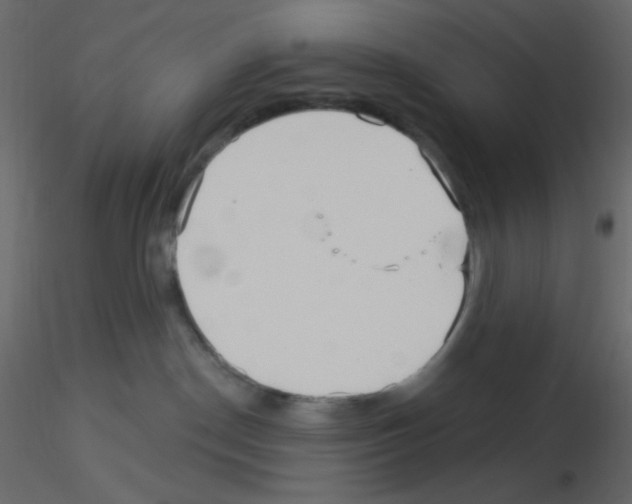 X0000115690190200912241509