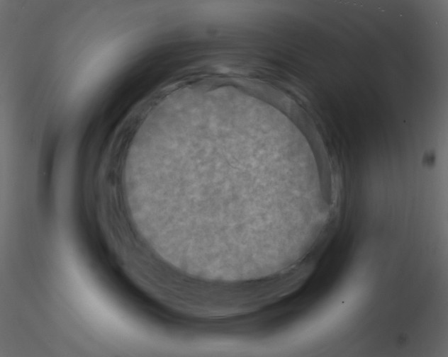 X0000115690191200912241509
