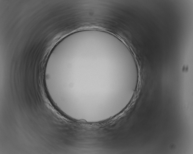 X0000115690193200912241509
