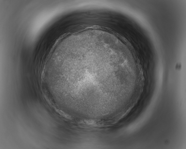 X0000115690194200912241509