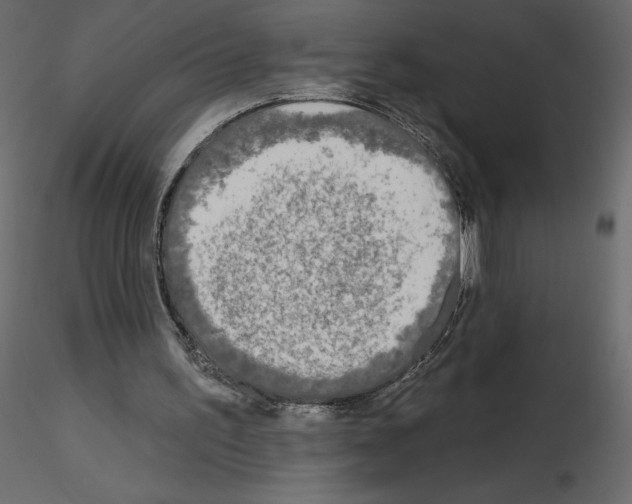 X0000115690195200912241509