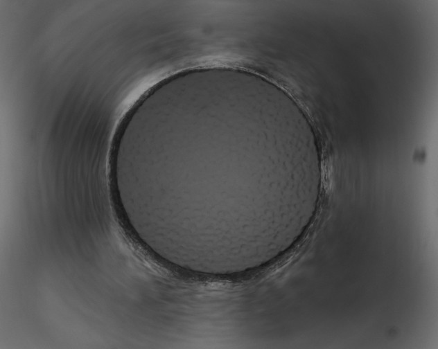 X0000115690196200912241509