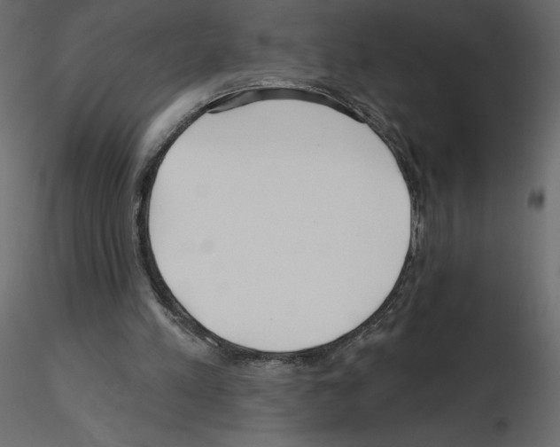 X0000115690197200912241509