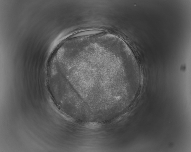 X0000115690198200912241509