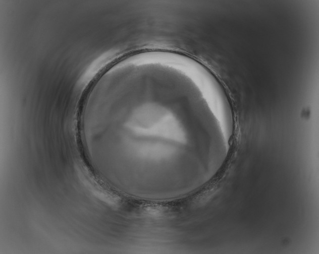 X0000115690199200912241509