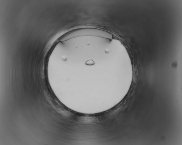 X0000115690200200912241509