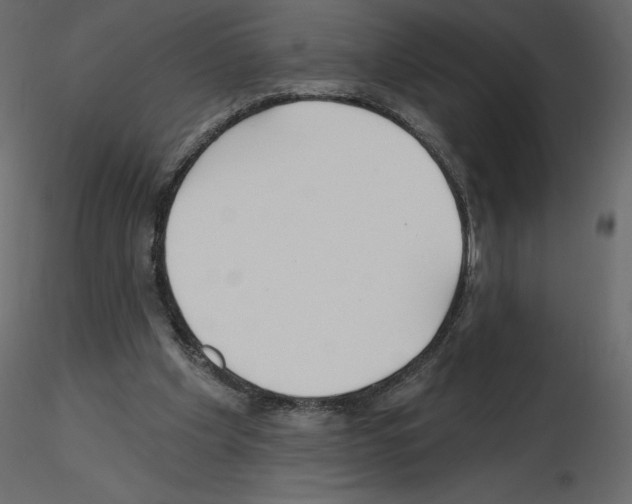 X0000115690201200912241509