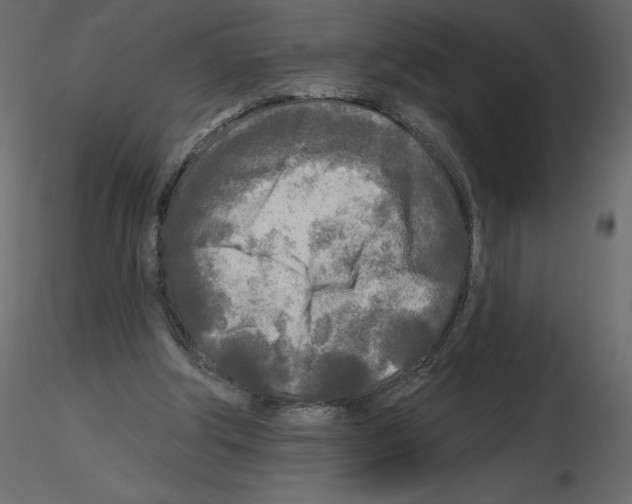 X0000115690202200912241509
