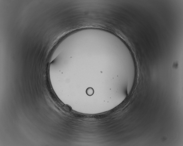 X0000115690203200912241509