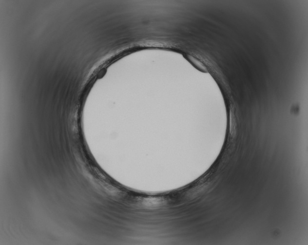 X0000115690204200912241509