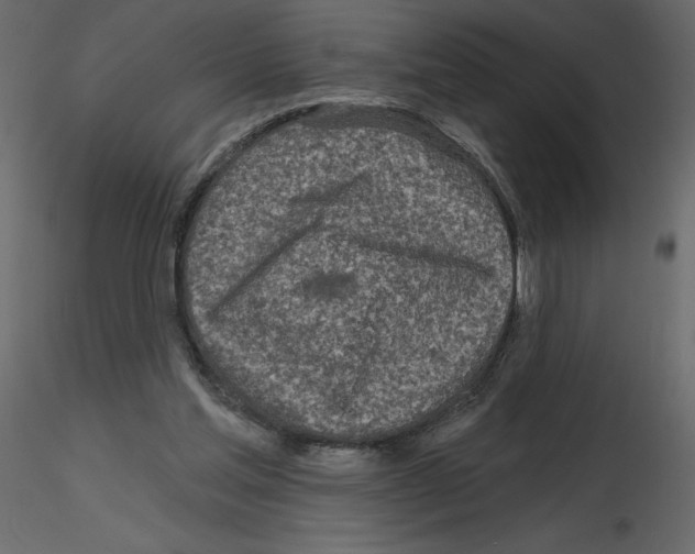 X0000115690205200912241509