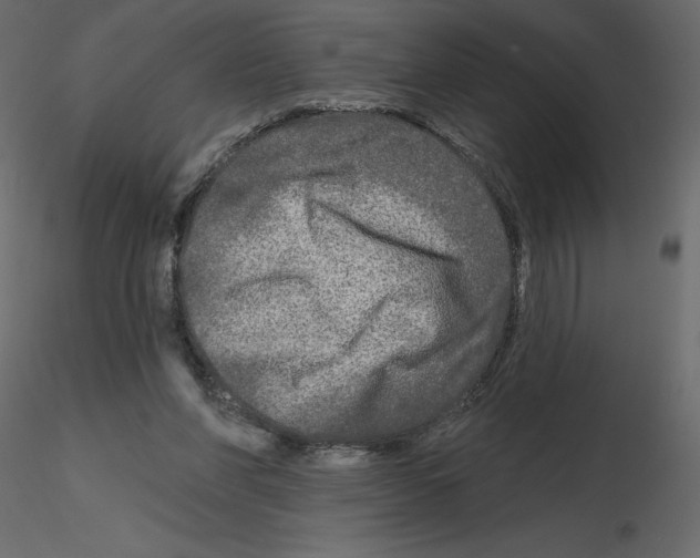 X0000115690206200912241509