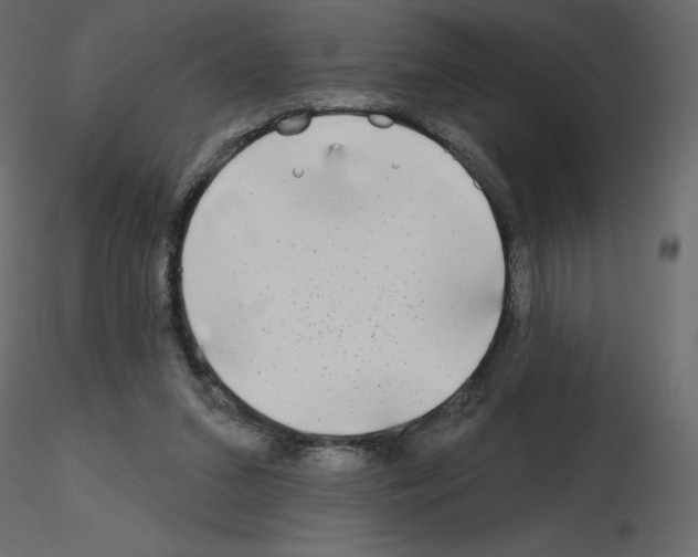 X0000115690207200912241509
