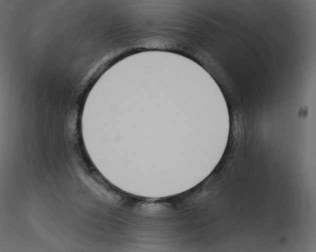 X0000115690208200912241509