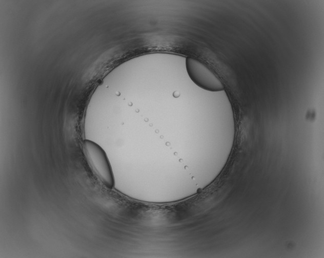 X0000115690209200912241508