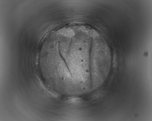 X0000115690210200912241508